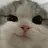 yoru_lov