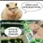 hamsterilovelotte