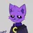 Catnap132