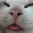 Im_not_fresh
