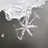 Snow-star