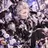Zhcat