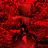 Specter_0101