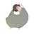 tebirdsu