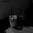WearyWhisk8259
