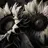 Sunflower122503