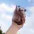 1224TeddyBear