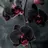 OrchidSilk7717