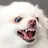 hisfriend
