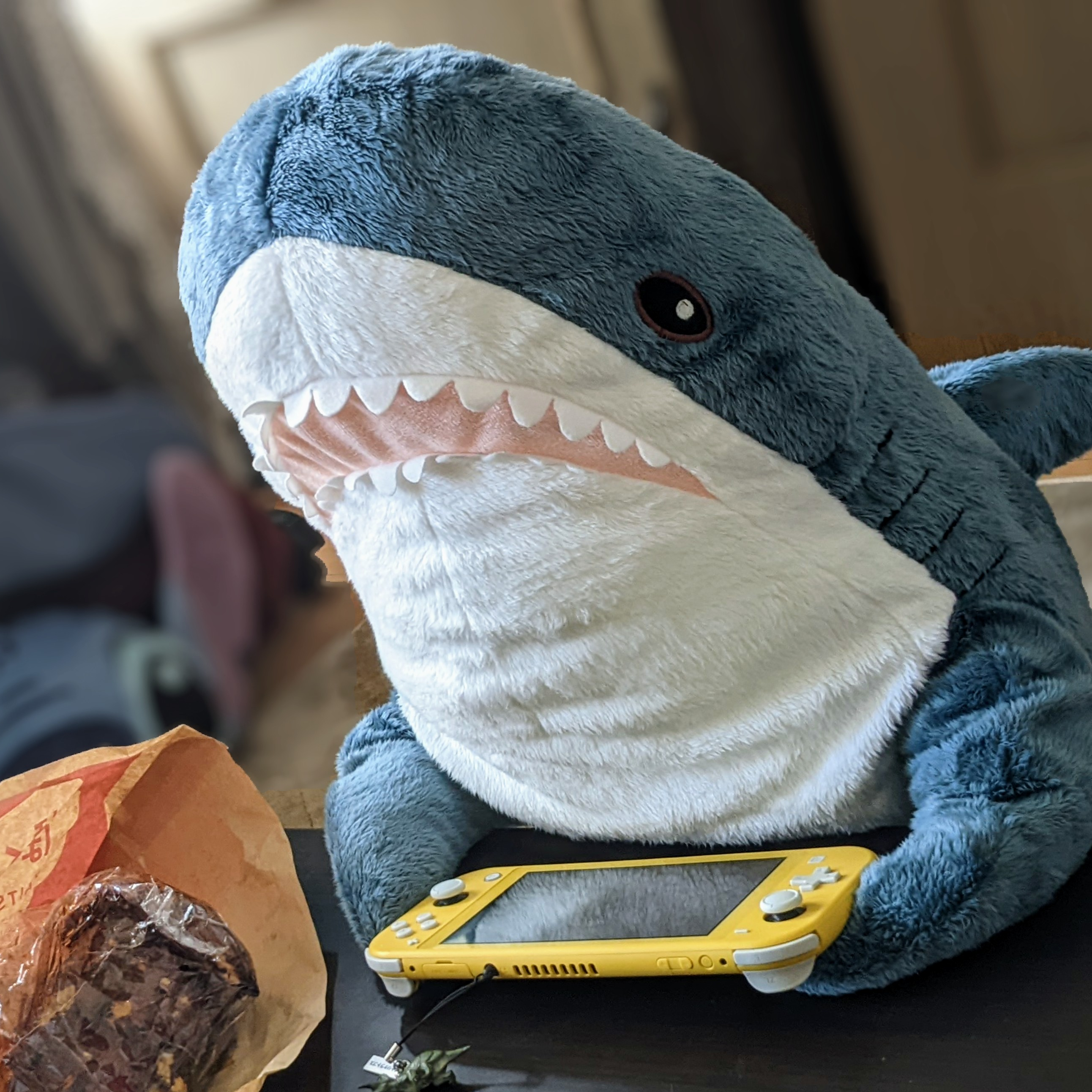 わにさん様 ワニさん - zeta