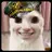 Ding_0508