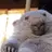 Mylovely_Wombat