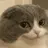 Meow_meow_6767