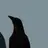 RareSong3872