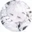 BoldBone0035