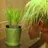 G-DRAGON_88