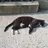 aknk_89227