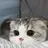 LOVElove0917-