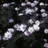 Unknown_2323