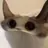 Curious-cat2