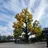 AbsurdHoop9836