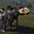 Cypress_2793