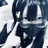 Hasimoto_Nagisa