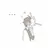 Shisei_0712