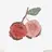 cherryfool