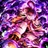 onigirya-