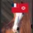 NorthernTasteFutuna