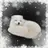 Best_animal_on_zeta