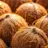 The_coconut