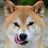 Wakawaka_inu