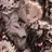 m_Sylus0418