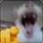 DODO_SE