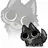MoonsWolf