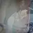 STAR_light-2025