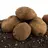 soilpotato