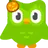 DOOOLINGO_DUOLINGO